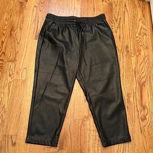 LOFT Pull On Slim Pants in Faux Leather